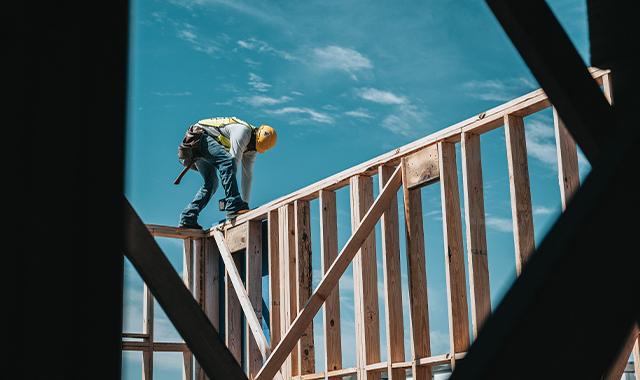 roof_carpenter